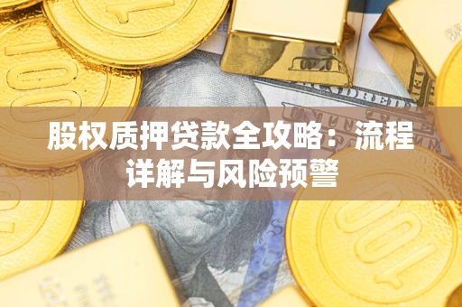 北京股权质押贷款全攻略：流程详解与风险预警