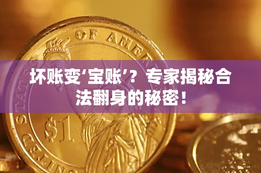 北京坏账变‘宝账’？专家揭秘合法翻身的秘密！
