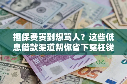 北京担保费贵到想骂人？这些低息借款渠道帮你省下冤枉钱
