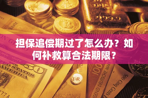 北京担保追偿期过了怎么办？如何补救算合法期限？