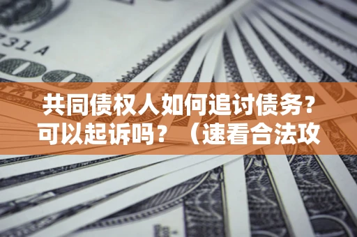 北京共同债权人如何追讨债务？可以起诉吗？（速看合法攻略）