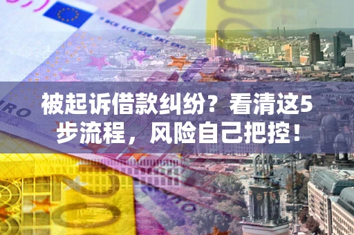 北京被起诉借款纠纷？看清这5步流程，风险自己把控！