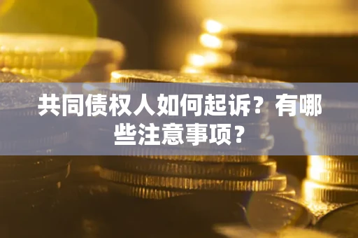 北京共同债权人如何起诉？有哪些注意事项？